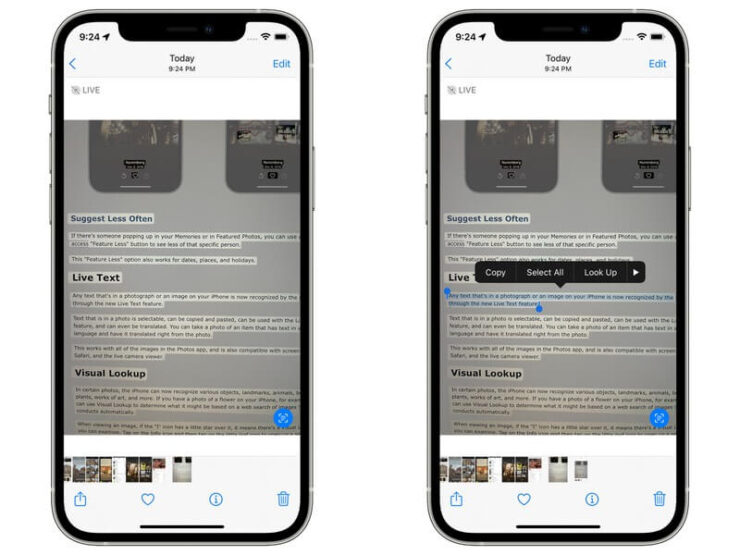 iOS 15 сможет считывать текст с фотографий. Фото.