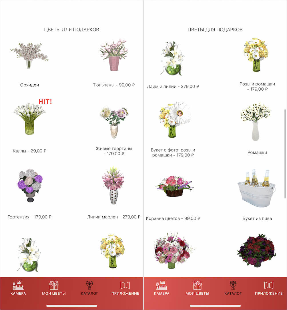 Ассортимент приложения довольно-таки обширен. Фото.