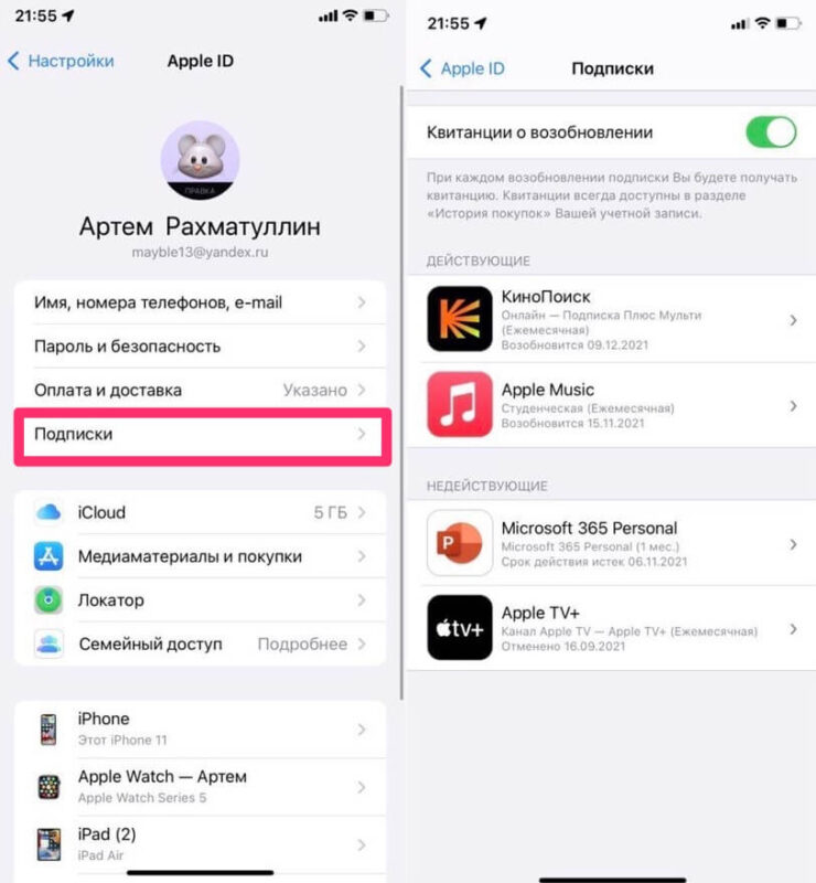 Я у мамы экономист. На подписки сильно не трачусь. Фото.