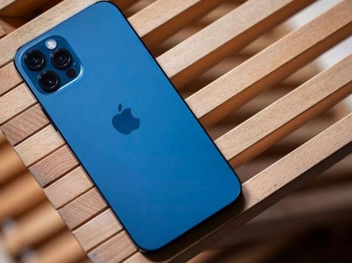 Красавец, что тут еще сказать! Фото.