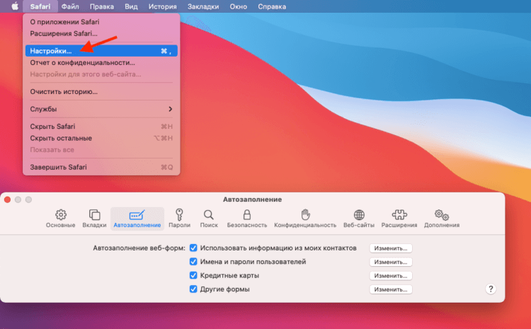 Запретить автозаполнение на Mac. На Mac все настройки спрятаны в одном месте. Фото.