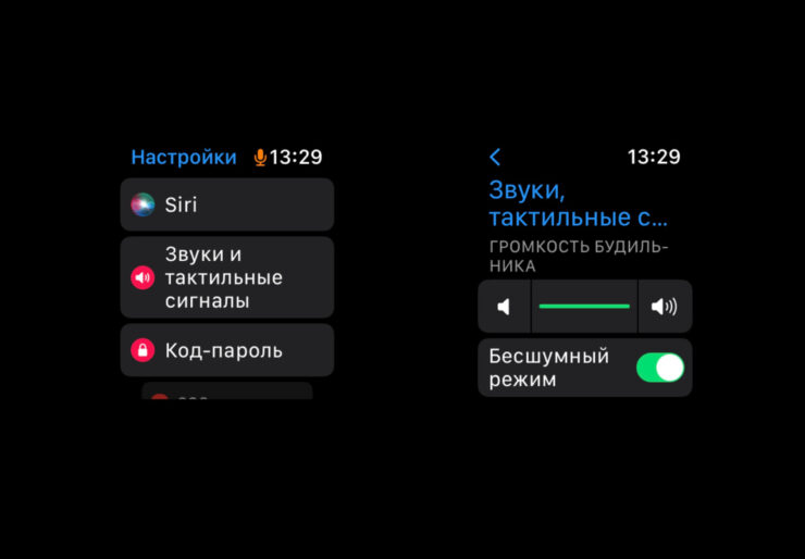 Нет звука на Apple Watch. Отрегулируйте звук на Apple Watch. Нет звука на Apple Watch. Отрегулируйте звук на Apple Watch. Фото.