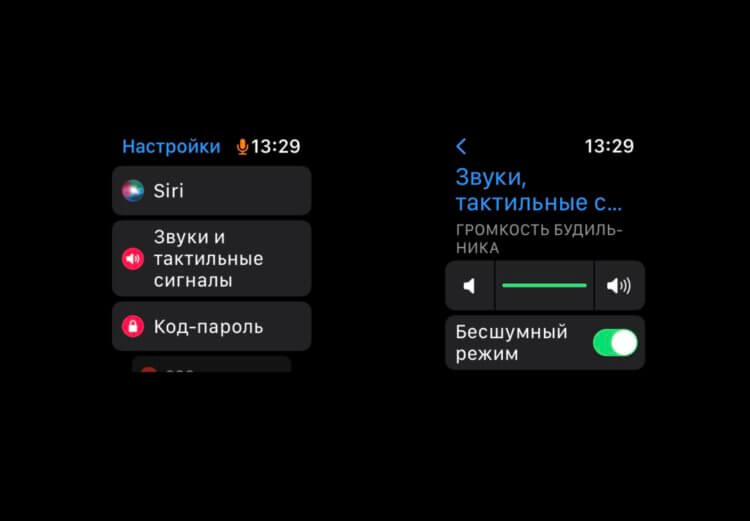 Нет звука на Apple Watch. Отрегулируйте звук на Apple Watch. Фото.