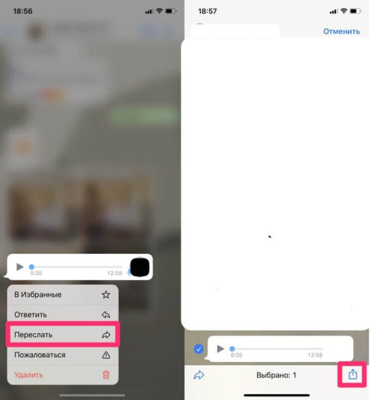 Как скачать голосовое сообщение в Вотсапе. Сохраняем голосовое в WhatsApp. Как скачать голосовое сообщение в Вотсапе. Сохраняем голосовое в WhatsApp. Фото.