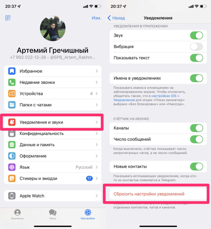 Дублирование сообщений в Телеграм. Попробуйте сбросить настройки уведомлений. Возможно это поможет. Фото.