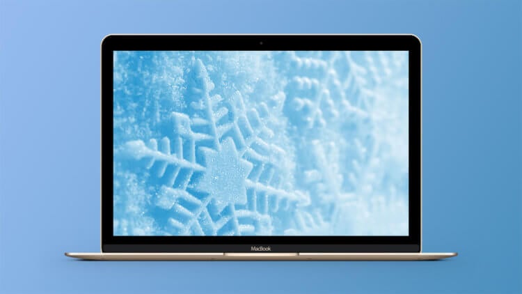 Как правильно носить MacBook зимой