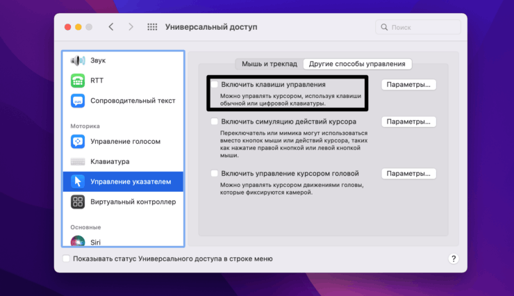 Выключите клавиши управления на Mac. Фото.