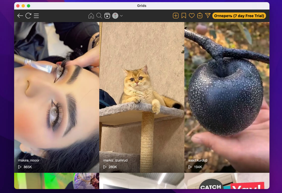 У меня с Grids исключительно негативный опыт. Фото.
