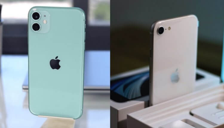 iPhone SE 3 или iPhone 11. Что выбрать в 2022 году. Фото.