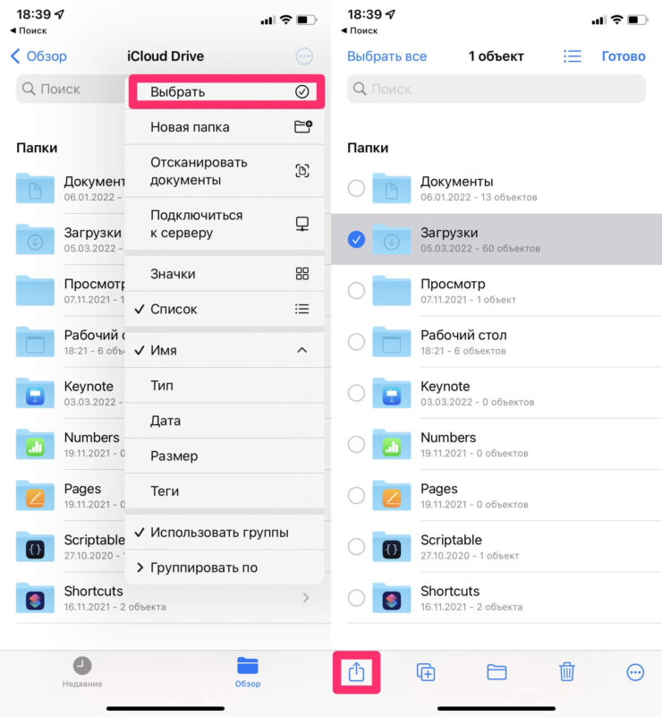 Как перенести все файлы из iCloud. Кнопка Поделиться находится внизу. Фото.