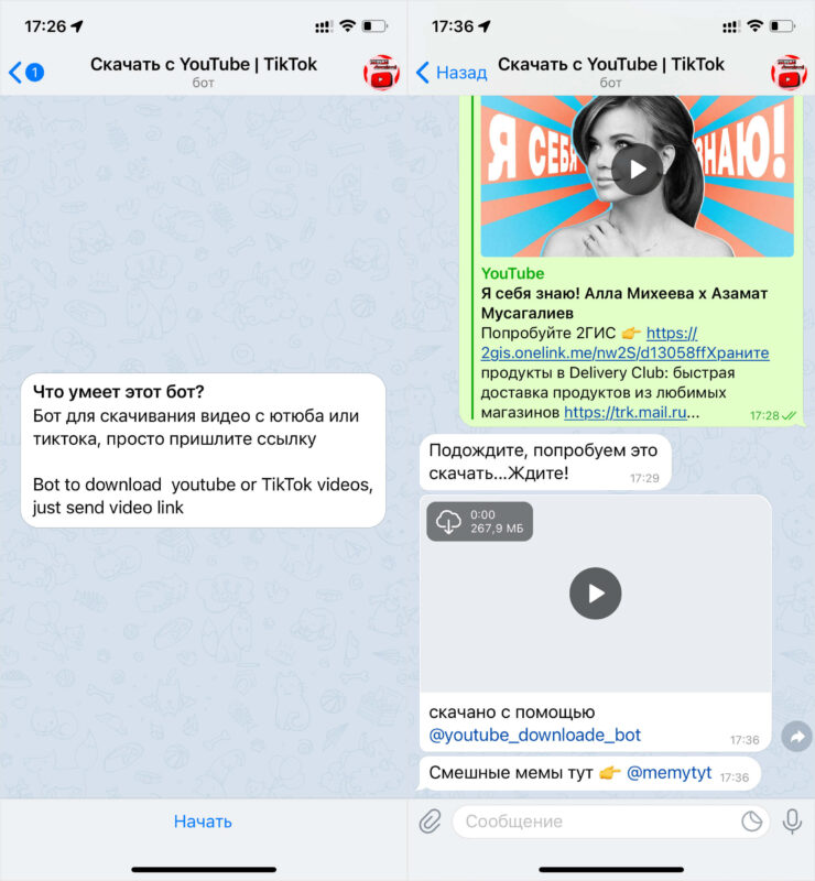 Как скачать видео с Ютуба на Айфон. Скачивать видео с Ютуба через этого бота можно абсолютно бесплатно. Фото.