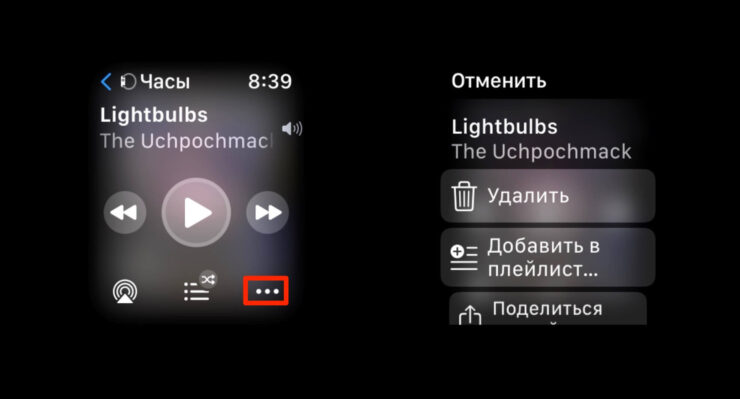 Как управлять музыкой с Эпл Вотч. Вот так выглядит меню управления музыкой в Apple Watch. Фото.
