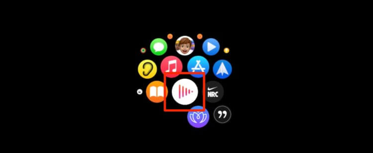 Как управлять музыкой с Эпл Вотч. Просто откройте приложение и управляйте музыкой на Apple Watch отсюда. Фото.
