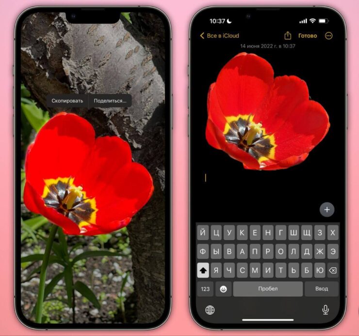 Как удалить фон с фото на Айфоне. Итоговый результат иногда очень сильно впечатляет. Фото.