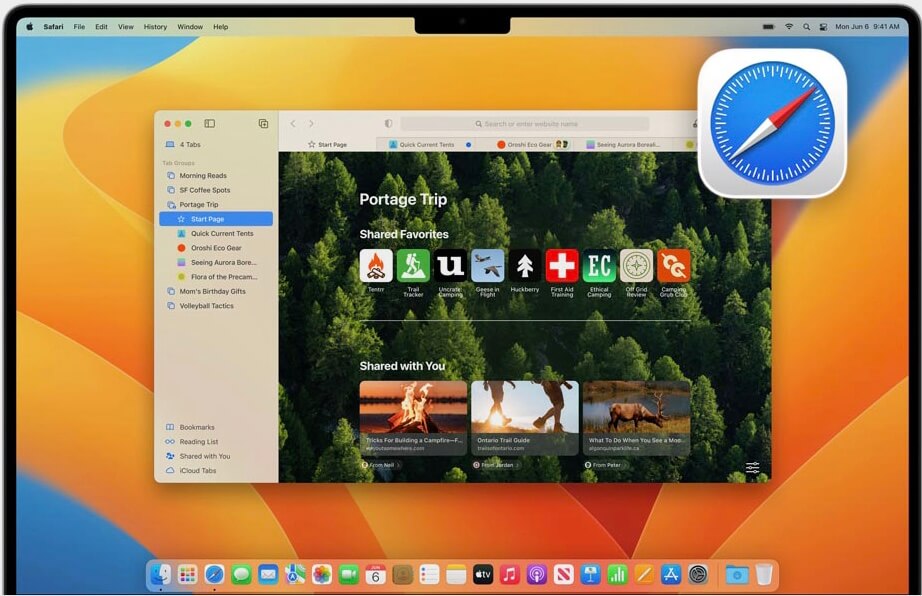 Группировка вкладок в Safari выглядит очень приятно. Фото.