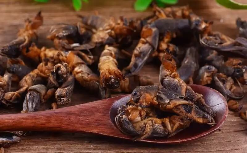 Да-да, кто-то и правда употребляет эту гадость в пищу, а кто-то использует для приготовления настоек. Фото.