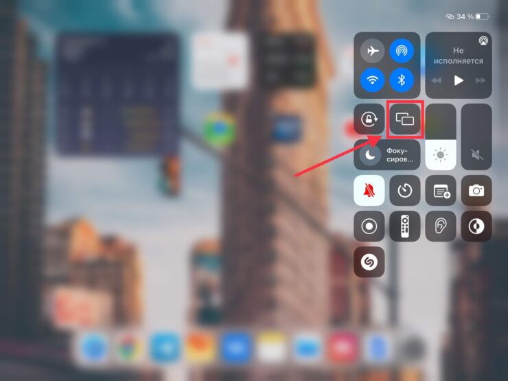 Кнопка зеркального отображения никак не подписана. Фото.