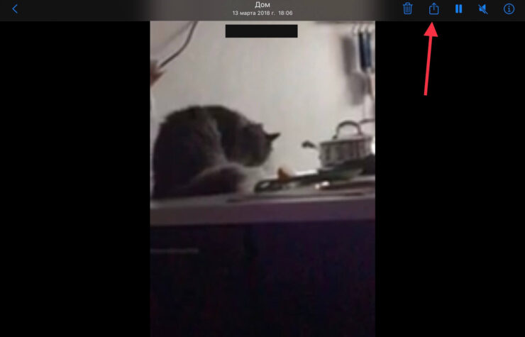 Вывод видео из стандартного приложения «Фото» немного неочевиден. Фото.