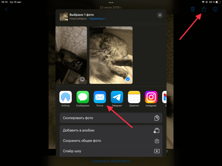 Можно выделить несколько изображений разом. Фото.