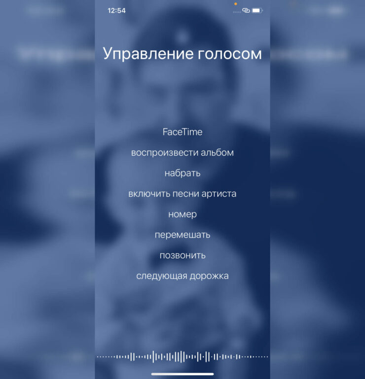 При запуске голосового управления предлагаются некоторые типовые команды. Фото.