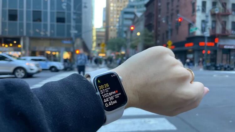 Тренировки на Apple Watch. Старые Apple Watch могут начать подтормаживать, но все решаемо. Фото
