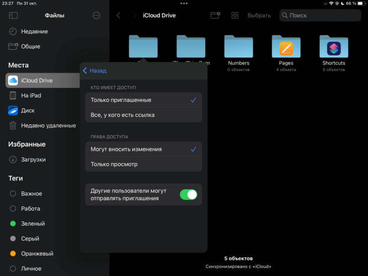 Можно разрешить даже другим пользователям открывать доступ к вашей папке. Фото.