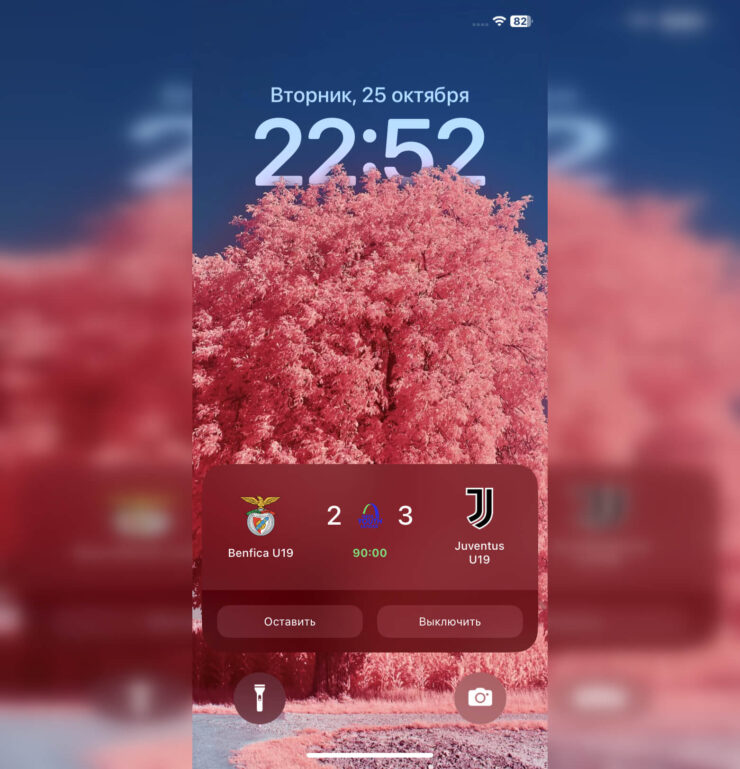 Сюда же будет выводится информация об авторах голов. Фото.