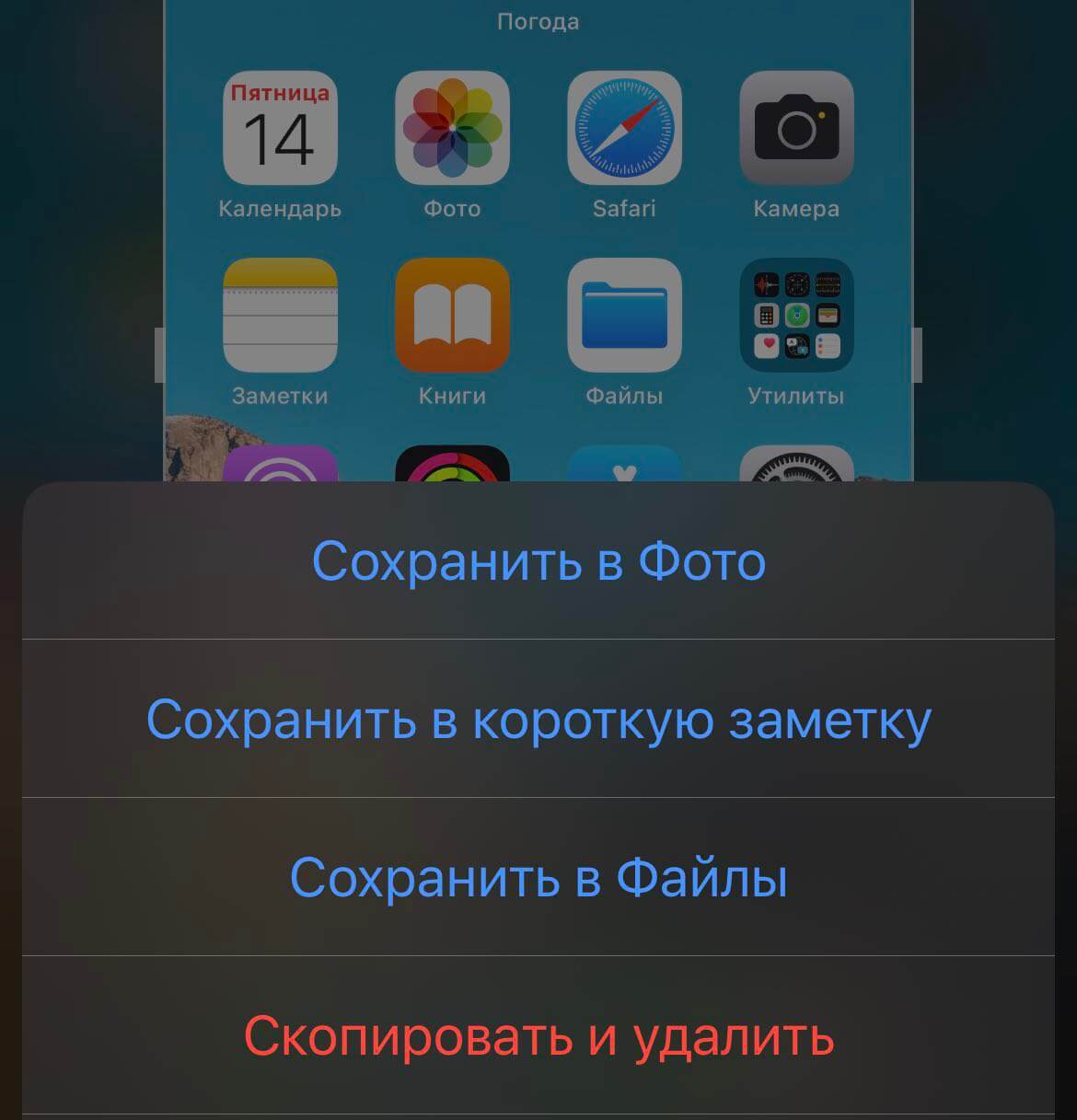 Секретные фишки iOS 16, о которых должен знать каждый