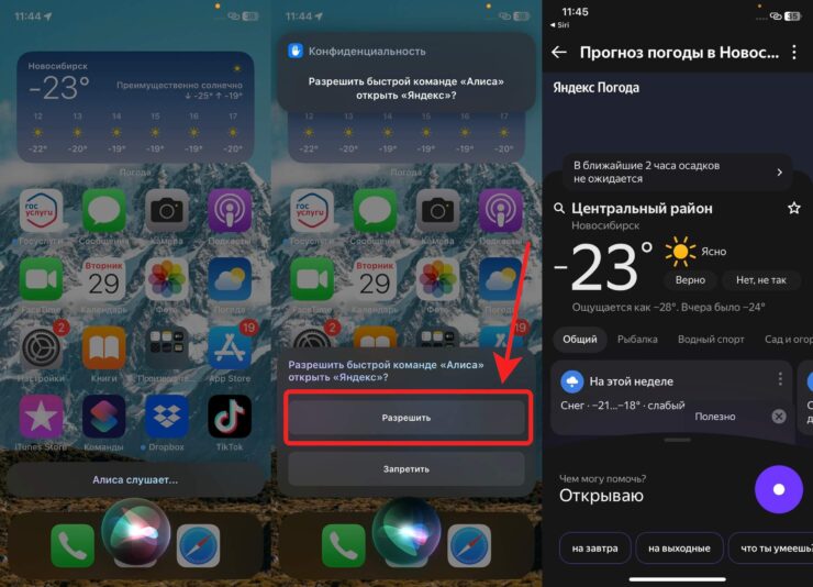 Алиса на Айфон — как настроить. Обязательно разрешите быстрой команде запускать “Яндекс”, иначе Алиса не будет работать. Фото.