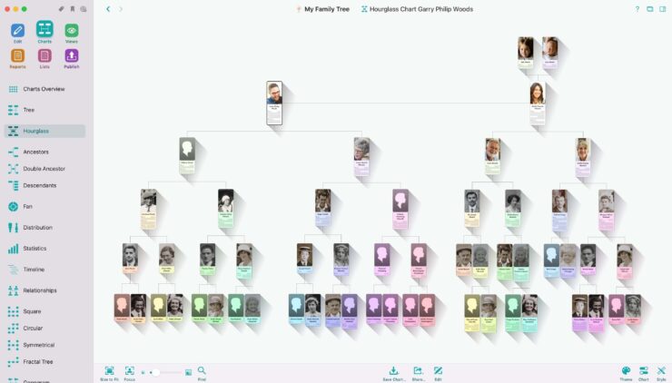 Вот так выглядит простое генеалогическое древо. Фото.