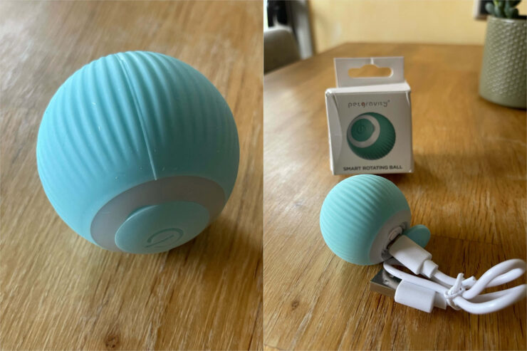 Ваш питомец должен порадоваться такому подарку. Фото.