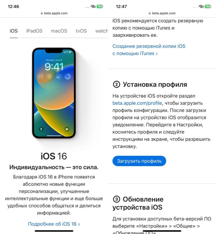Завис экран на Айфоне. Установите профиль и сможете получать бета-версии прошивок на свой Айфон. Фото.