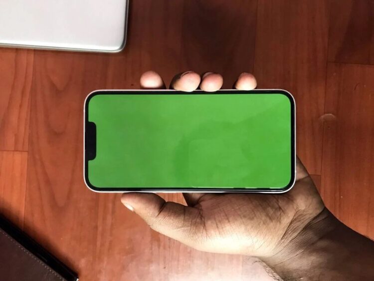 iOS 16.1 вызывает зеленый экран на iPhone. Что делать. Фото.