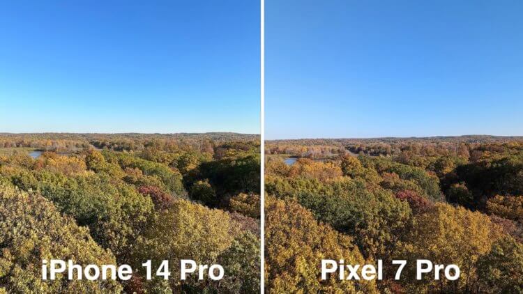 Сравнение Pixel 7 Pro и iPhone 14 Pro. Пейзаж на Пиксель немного ярче. Фото