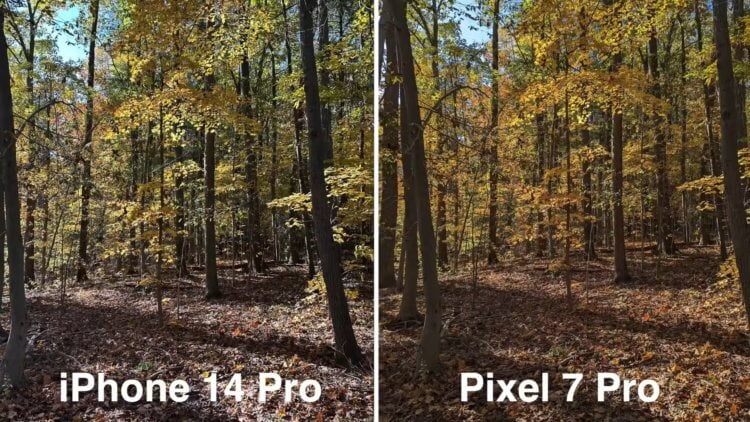 iPhone 14 Pro — сравнение фото. Пейзажные фотографии лучше получаются на Пикселе. Фото
