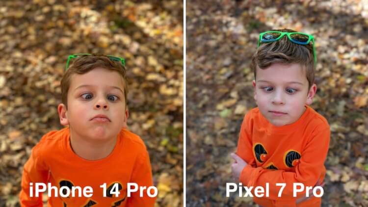 Сравнение Pixel 7 Pro и iPhone 14 Pro. Портрет на Пиксель получается не такой яркий, как на Айфон. Фото