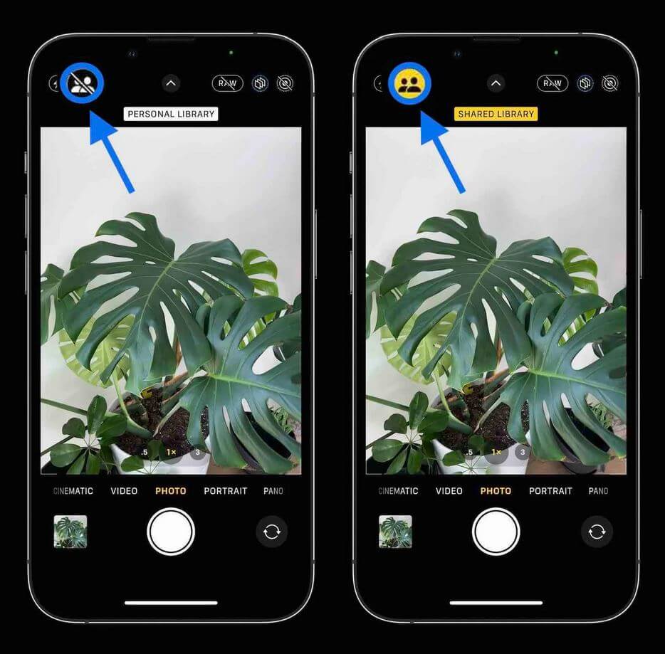 Как пользоваться Общей медиатекой в iOS 16. Можно включить автоматическую отправку файлов из Камеры. Фото.