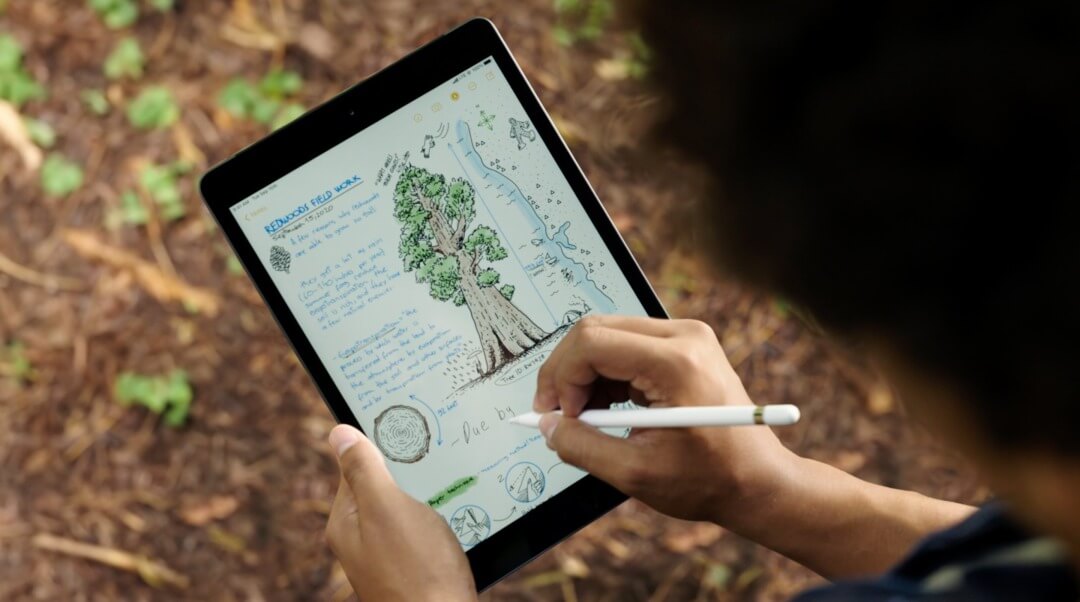 Даже старичок iPad 8 получил поддержку DaVinci Resolve. Фото.
