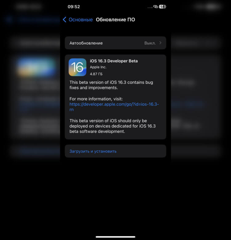 Как установить iOS 16.3 beta 1. Обновление на iPhone XR весит 4,87 ГБ. Фото.