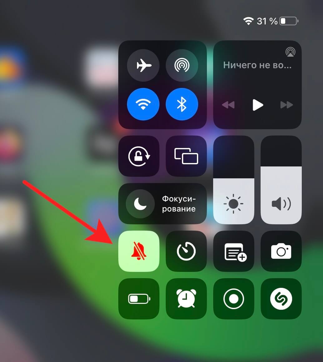 Кнопка выключения звука на iPad. Фото.
