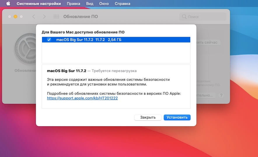 У себя Сафари я уже обновил, но у вас тут будет возможность снять или поставить галку напротив новой версии браузера. Фото.