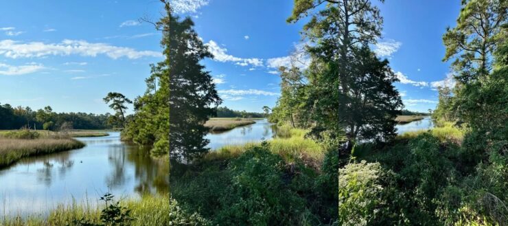 Как снимать на Айфон. Посмотрите, как меняется цвет неба от объектива к объективу. Фото.