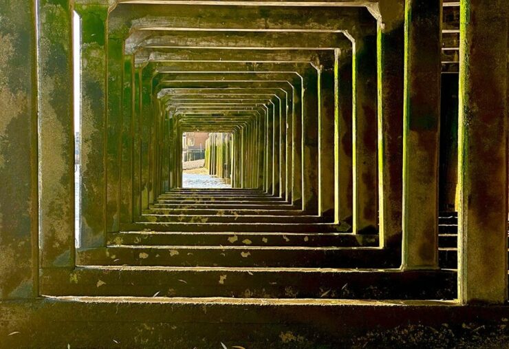 Фокусировка на Айфоне. Без оптического зума такой снимок бы не получился. Фото.