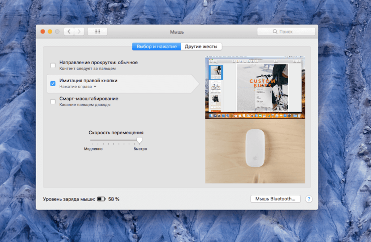 Как увеличить скорость мыши на Маке. Обязательно включите имитацию правой кнопки мыши. Фото.