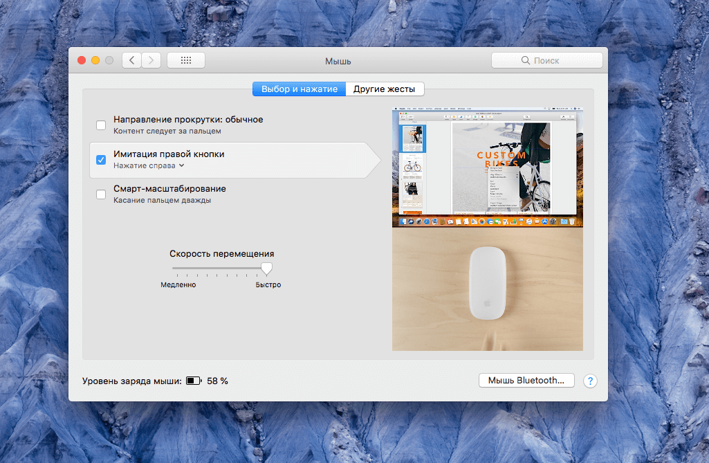 Обязательно включите имитацию правой кнопки мыши. Фото.
