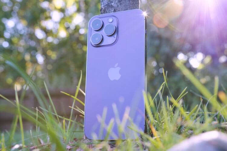 Самый дорогой Айфон. Фиолетовый цвет iPhone 14 Pro Max отлично смотрится под прямым солнцем. Фото.