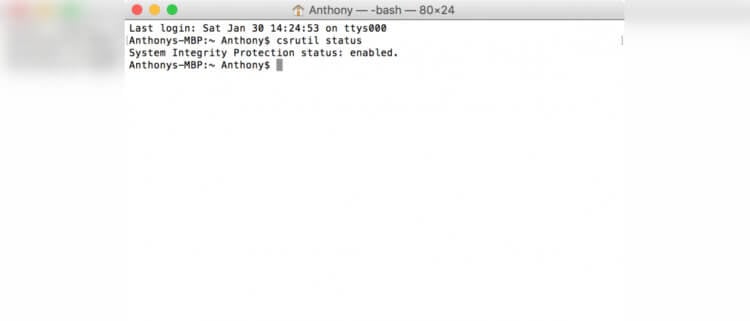 Как отключить SIP в Mac OS. Вот так выглядит запрос на статус защиты в Терминале. Фото.