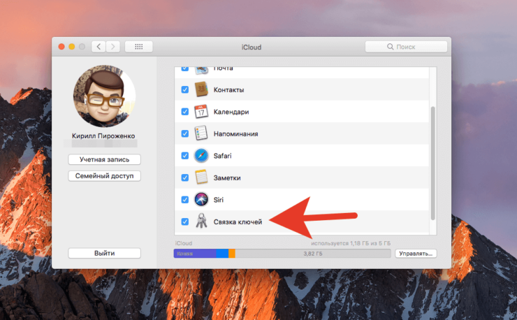 Связка ключей iCloud. Связка ключей во всех версиях находится в разделе iCloud. Связка ключей iCloud. Связка ключей во всех версиях находится в разделе iCloud. Фото.