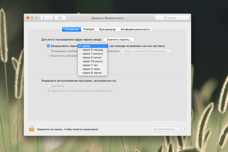 Блокировка экрана Мак. А запрос пароля — в “Безопасности”. Блокировка экрана Мак. А запрос пароля — в “Безопасности”. Фото.