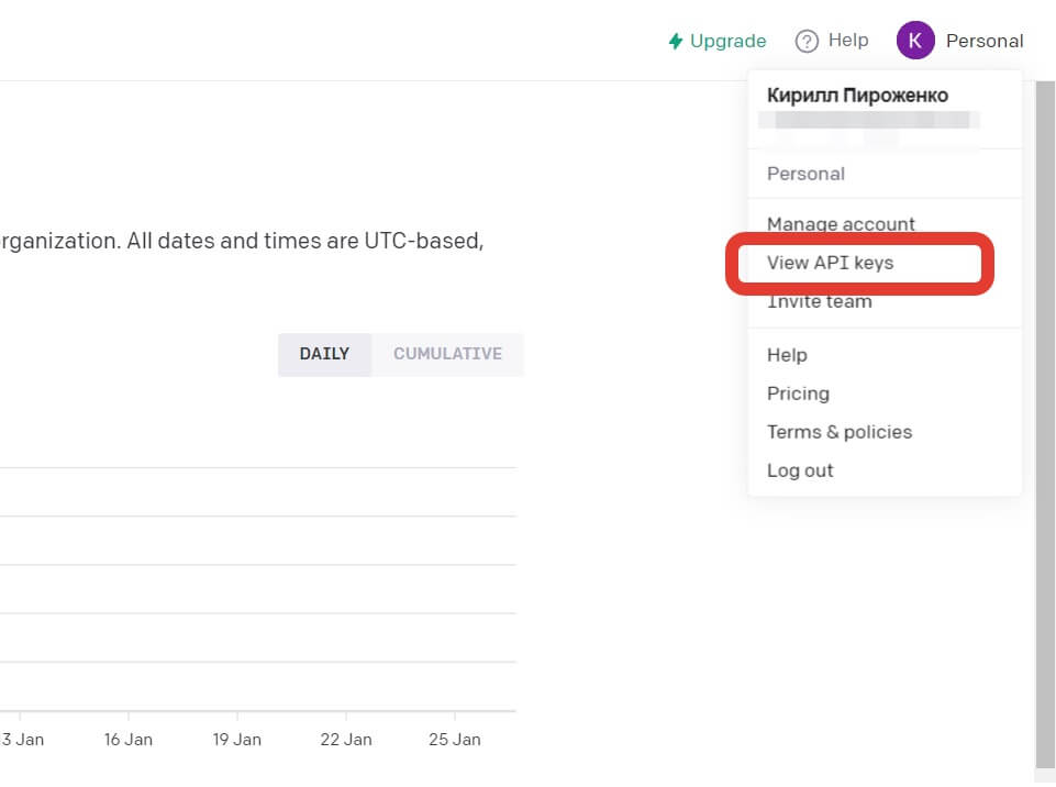ChatGPT на русском. В профиле можно сформировать специальный ключ. Фото.